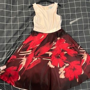 Elegant brand new without tags, never work cocktail dress